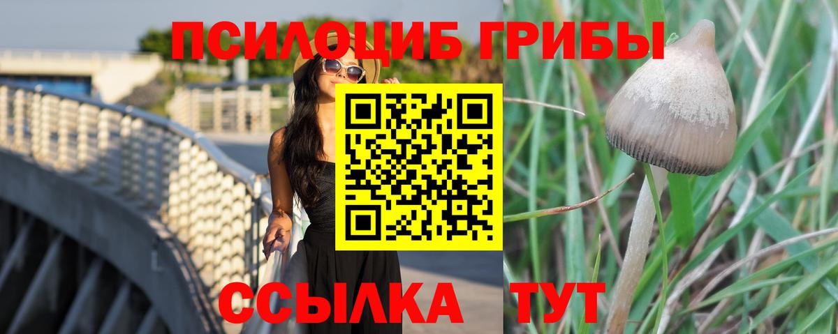 Псилоцибиновые грибы GOLDEN TEACHER  Вход с VPN  Спасск-Дальний 